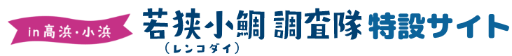 若狭小鯛調査隊特設サイト
