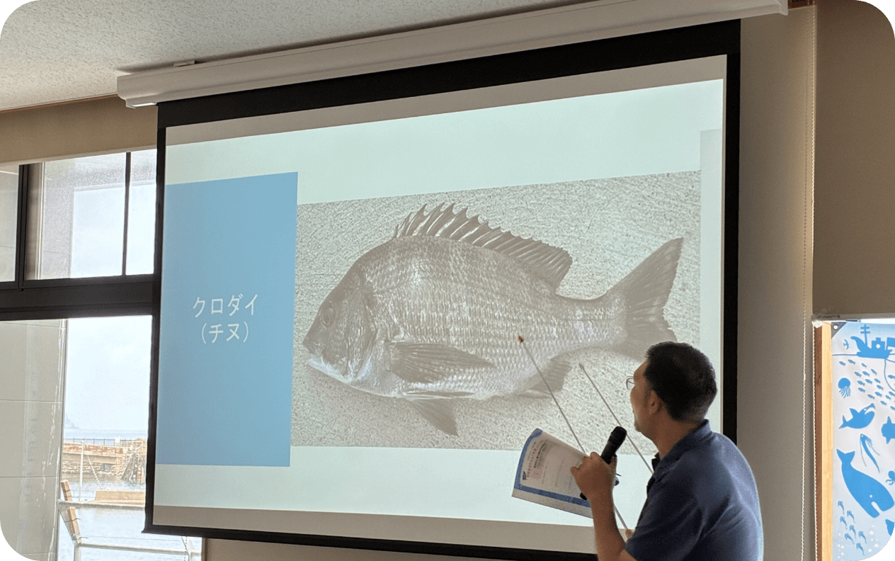 若狭湾とシイラを学ぼう！