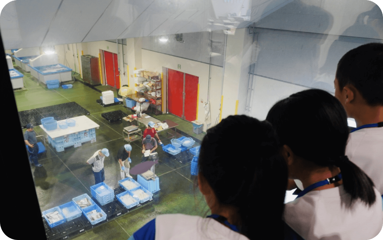 漁港で競りを調査しよう！