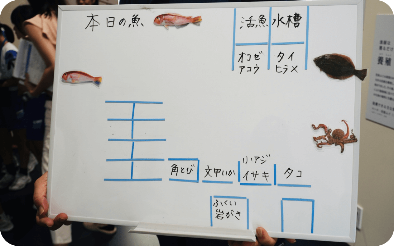 漁港で競りを調査しよう！