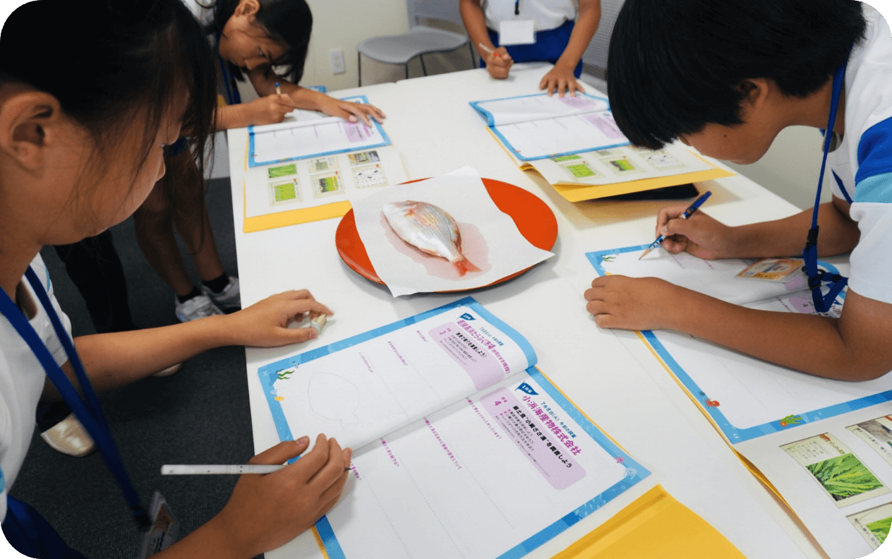 漁港で競りを調査しよう！