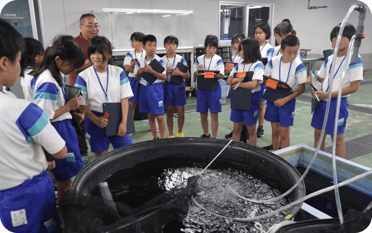 レンコダイをもっと深堀りしてみよう！