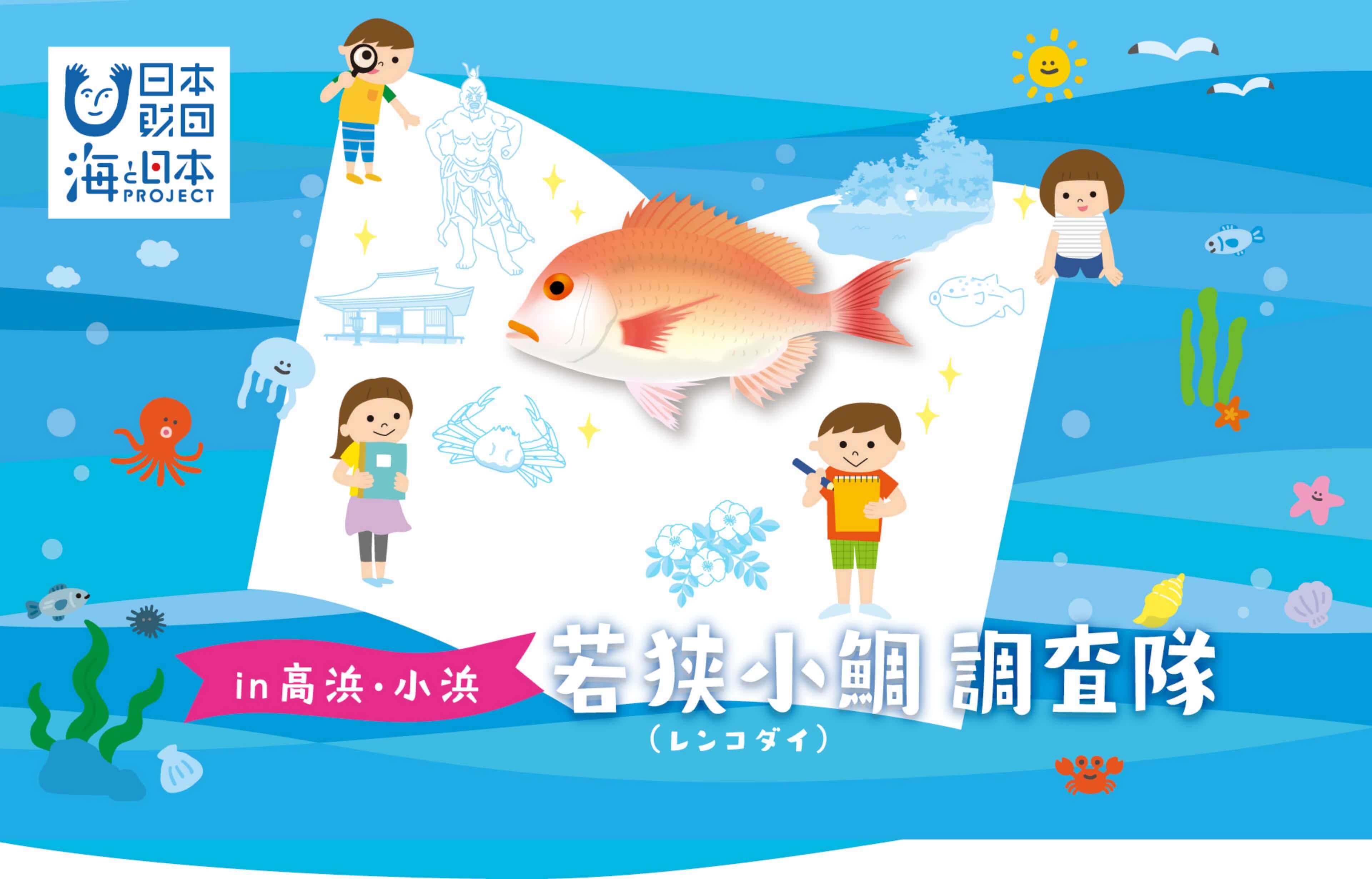 若狭小鯛調査隊特設サイト